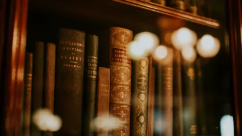 Фиктивные браки с участниками СВО