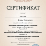 Сертификат - Киселёв Игорь Евгеньевич