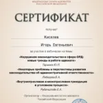 Сертификат - Киселёв Игорь Евгеньевич