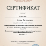 Сертификат 2 - Киселёв Игорь Евгеньевич