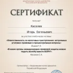Сертификат 2 - Киселёв Игорь Евгеньевич