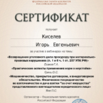 Сертификат 3 - Киселёв Игорь Евгеньевич