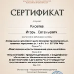 Сертификат 3 - Киселёв Игорь Евгеньевич
