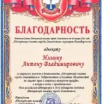 Благодарность Ильина А.В. - Ильин Антон Владимирович