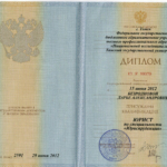 Диплом представителя - Севастьянова Дарья Александровна