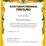 Благодарственное письмо - Шилов Павел Игоревич