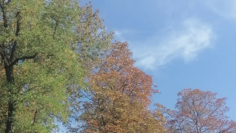 Юрист Красикова Маргарита Викторовна объясняет: Как начать процедуру банкротства юридического лица