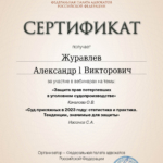 Сертификат - Журавлев Александр Викторович