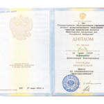 Диплом - Журавлев Александр Викторович