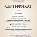 Сертификат 4 - Журавлев Александр Викторович