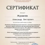 Сертификат 5 - Журавлев Александр Викторович