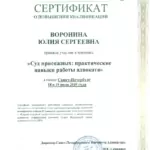 Сертификат 3 - Воронина Юлия Сергеевна