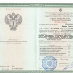 повышение квалификации Питер - Лескина Янина Сергеевна