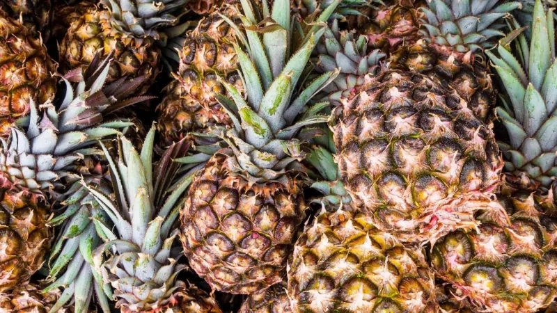 Юрист Замараев Алексей Сергеевич объясняет: Оплата за участие в клинических испытаниях незарегистрированных в России лекарственных средств.