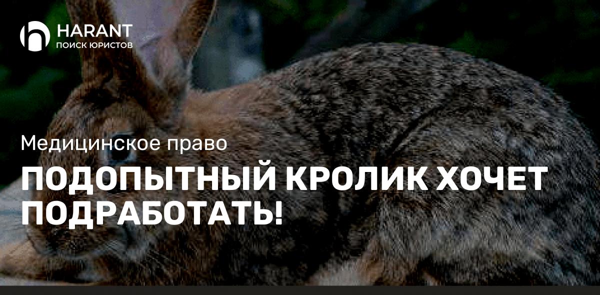 Подопытный кролик хочет подработать!