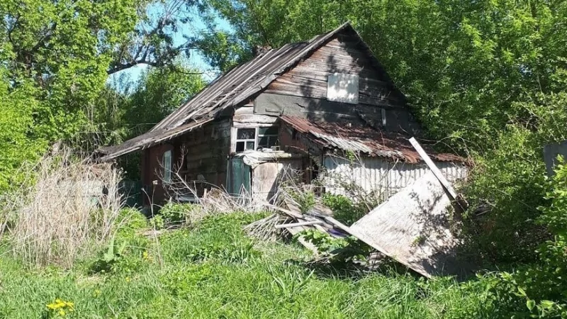 Юрист Васина Елена Геннадьевна объясняет: В России определили признаки для изъятия дачных участков и земель под ИЖС