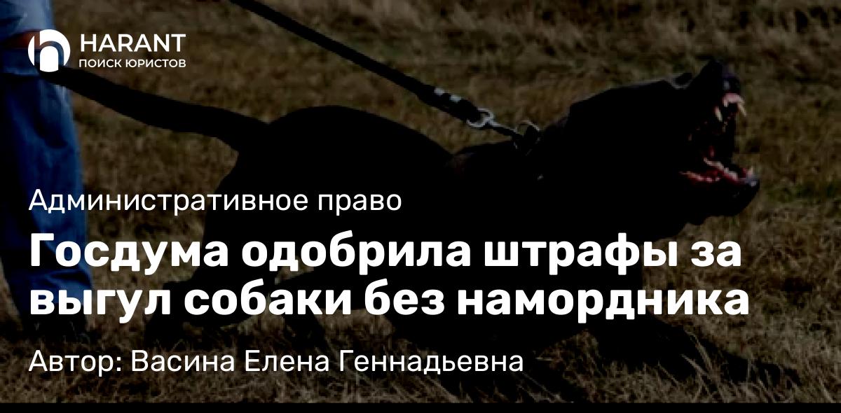 Юрист Васина Елена Геннадьевна объясняет: Госдума одобрила штрафы за выгул собаки без намордника
