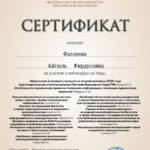 Сертификат  6  час - Фазлеева Айгюль Фирдусовна