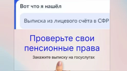  Зачем нужна выписка из лицевого счета в СФР?