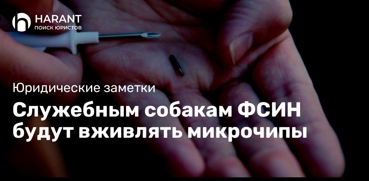 Служебным собакам ФСИН будут вживлять микрочипы