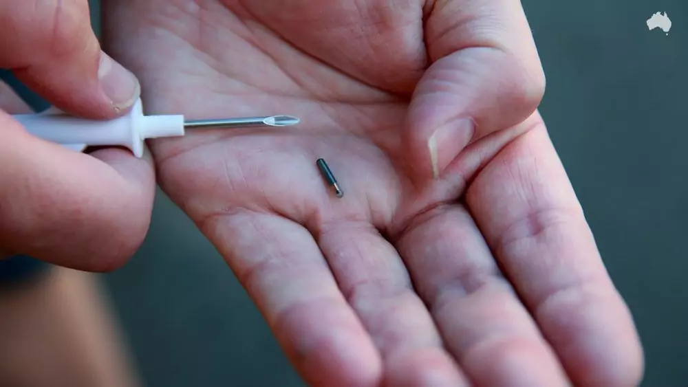 Адвокат Поляков Дмитрий Васильевич объясняет: Служебным собакам ФСИН будут вживлять микрочипы