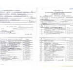 Вкладыш в диплом (учитель) - Рубелит Оксана Николаевна