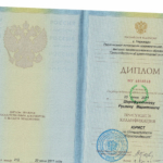 Диплом - Шарафутдинов Руслан Маратович