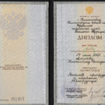 Диплом представителя - Алпатов Константин Геннадьевич