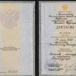 Диплом представителя - Алпатов Константин Геннадьевич