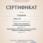 Сертификат 2 - Сорокин Николай Юрьевич