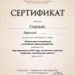 Сертификат 2 - Сорокин Николай Юрьевич