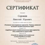 Сертификат 3 - Сорокин Николай Юрьевич