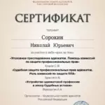 Сертификат 3 - Сорокин Николай Юрьевич