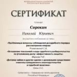 Сертификат 4 - Сорокин Николай Юрьевич