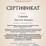 Сертификат 6 - Сорокин Николай Юрьевич