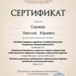 Сертификат 7 - Сорокин Николай Юрьевич