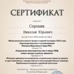 Сертификат 8 - Сорокин Николай Юрьевич