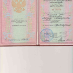 Диплом БЭК - Насибуллина Айсулу Альбертовна