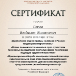 СЕРТИФИКАТ 27.04.21 - Попов Владислав Витальевич