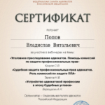 СЕРТИФИКАТ 01.08.2023 - Попов Владислав Витальевич