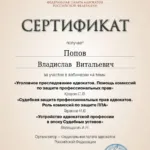 Сертификат 01.08.2023 - Попов Владислав Витальевич