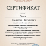 СЕРТИФИКАТ 10.03.2023 - Попов Владислав Витальевич