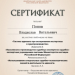 СЕРТИФИКАТ 13.04.2023 - Попов Владислав Витальевич