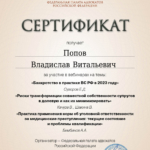 СЕРТИФИКАТ 15.11.2023 - Попов Владислав Витальевич