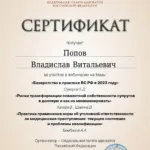 Сертификат 15.11.2023 - Попов Владислав Витальевич