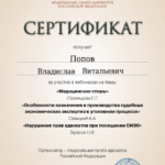 СЕРТИФИКАТ 18.07.2023 - Попов Владислав Витальевич