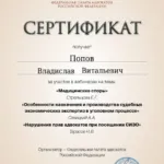 Сертификат 18.07.2023 - Попов Владислав Витальевич