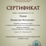 СЕРТИФИКАТ 21.03.2023 - Попов Владислав Витальевич