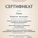 Сертификат 02.04.2024 - Попов Владислав Витальевич
