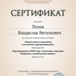СЕРТИФИКАТ 24.01.2024 - Попов Владислав Витальевич